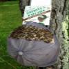 200 Deerfly Patches (Fifty 4/pks) Stops Biting Deer Fly view 4