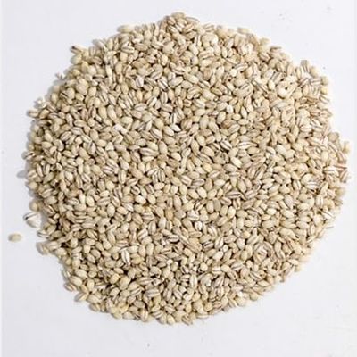 Swift River Premium Pearled Barley, 10 lb, Common Barley Grain, Reduced Cooking Time, Polished White Pearls for Gourmet Dishes, Perfect for Soups, Salads, and Stews