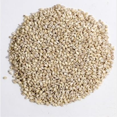 Swift River Premium Pearled Barley, 10 lb, Common Barley Grain, Reduced Cooking Time, Polished White Pearls for Gourmet Dishes, Perfect for Soups, Salads, and Stews
