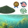 DOL-Spirulina Powder 16 Ounce ,Substitute protein powder,Fitness food,Spirulina on Earth - 100% Vegetarian,1LB view 4