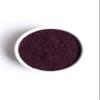 Terrasoul Superfoods Organic Elderberry Powder, 4 Oz - Freeze-Dried view 4