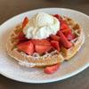 Snacktivist Foods - Ivory Teff Pancake & Waffle Mix, Gluten-Free, Non-GMO, Egg-Free, Dairy-Free, 25 Pounds Bulk Bag view 4