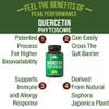 Peak Performance Ultra Pure Quercetin Phytosome Vegan Capsules - Rich Sophora Japonica Extract for Max Absorption Now. Quercetin 250mg Supplement Capsules. Made in USA view 2
