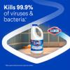 Clorox Disinfecting Bleach, 43 Fluid Ounces (Package May Vary) view 2