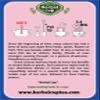 Herbal Cup Ayurveda Elderberries Tea, No Caffeine Organic Herbal Teas (Organic Echinacea, 16 Count (Pack of 6)) view 3