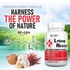 Re+Gen Nutrition Lysine Rescue, Amino Acid Supplement for Stronger Immune Health & Collagen Synthesis in Women & Men, Promotes Lips & Skin Health, Natural, Pure L-lysine, 90 Capsules, 45 Day Supply view 3