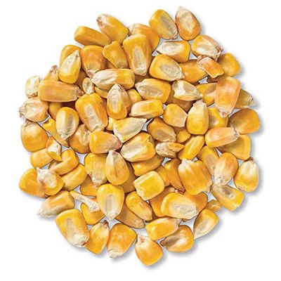 5 Pounds Deer Corn | Deer, Squirrels, Ducks Love It. Sprouts Well