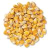 5 Pounds Deer Corn | Deer, Squirrels, Ducks Love It. Sprouts Well view 1