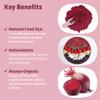 KOS Organic Beet Root Powder, USDA Certified - Superfood Plant Based Beetroot Ingredient for Stamina Increasing, Circulation - Non-GMO, Soy & Gluten-Free, 50 Servings Bag view 3