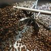 5 lbs (16 oz / 454 g) Jamaica Jamaican Blue Mountain Dark Roasted Coffee Beans, Roasted on the Day of Shipping view 3