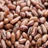 Heartland Great America Pinto Beans, Premium Quality, Made in USA, Home Grown Triple Cleaned, 50 lbs view 2
