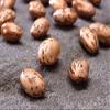 Heartland Great America Pinto Beans, Premium Quality, Made in USA, Home Grown Triple Cleaned, 50 lbs view 4