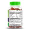 21st Century VitaJoy Sambucus Elderberry Gummies, Berry, 60 Count view 2