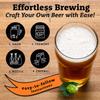 My Brew Supply Blackberry Cream Ale Extract Kit | Golden Light & Pale Dry Malt Extract | Natural Blackberry Flavoring | Willamette Pellet Hops | American Ale Yeast | Corn Sugar | 5 Gallon Yield view 4