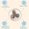 Sunny Fruit 100% RAW Fruit & Nut Snacks, Fig & Walnut, 6-Pack (9 Balls Per Bag) | No Sugar Added | Healthy, Convenient, On-the-Go Energy Balls | ORGANIC, VEGAN, GLUTEN-FREE, KOSHER view 2