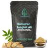 Holistic Bin Tongkat Ali Extract Powder  Premium Longjack Harvested from Sumatran Forests  Herbal  No Fillers or Preservatives  50 Grams view 1