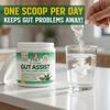 Leaky Gut Support Powder | L-Glutamine Gut Lining Formula | Gut Assist by Dr. Danielle view 4