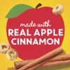 Apple Cinnamon Cheerios, Heart Healthy Gluten Free Breakfast Cereal, Made with Whole Grain Oats, Large Size, 14.2 oz view 3