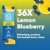 IQBAR Clean Plant Protein Bars - Lemon Blueberry - 36 Count - Keto, Vegan, High Fiber, Gluten and Dairy Free, Low Sugar Snack - Brain and Body Nutrients for Focus, Energy, Meal Replacement view 3