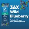 IQBAR Brain and Body Clean Plant Protein Bars - Wild Blueberry - 36 Bars - Keto, Vegan, High Fiber, Gluten and Dairy Free, Low Sugar Snack with Nutrients for Focus, Energy, Meal Replacement view 3