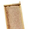 Pure Southern Honey's Raw Honeycomb on Wooden Frame (apx. 4 lbs) American Made view 2