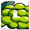 Switch Plate Single Toggle - Grape Fruits Bunch Fresh Green Organic Natural view 1