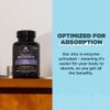 Ancient Nutrition Probiotics and Zinc Supplement, Supports Healthy Immune System and Gut Health, Made Without GMOs, Superfoods Supplement, Paleo and Keto Friendly, 30 Count view 4