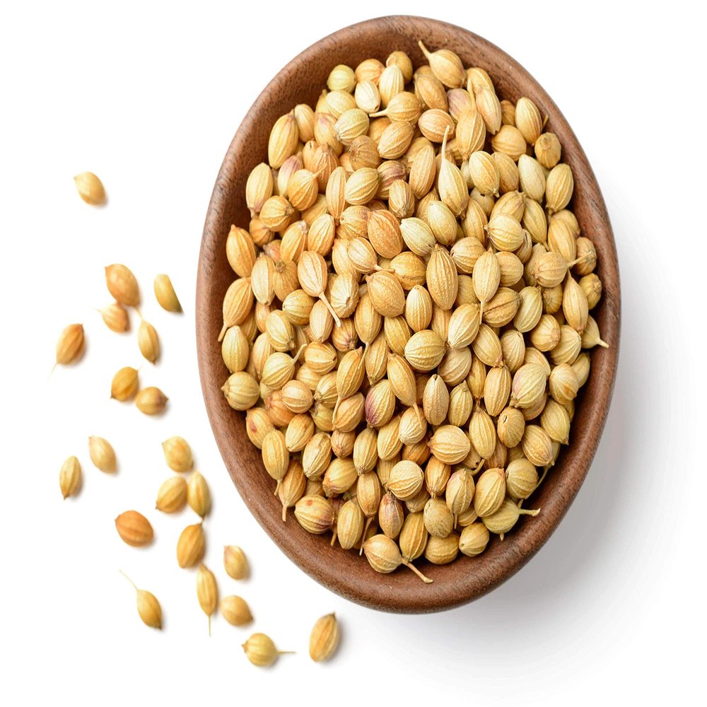 Premium Coriander Seeds Whole Freshly Packed Coriander (Dhania) Seeds Whole Dried Pure Indian Coriander Seed Whole Spice for Cooking - 3 Pound (3lbs) By NY SPICE SHOP