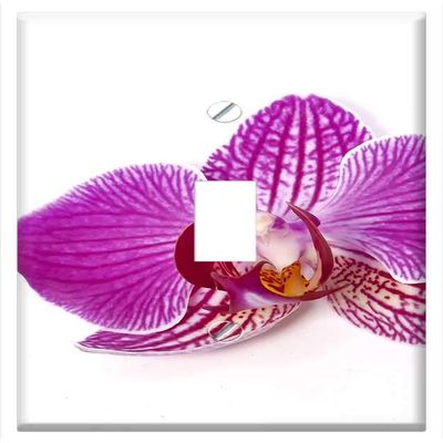 Switch Plate Single Toggle - Phalaenopsis Orchid Phalaenopsis Orchid Tropical 3