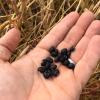 Bulk Black Beans Organically Grown in Michigan, USDA Organic Certified, Non-GMO, Farmer Direct, Gluten Free, Vegan, Frijoles Negros, Dry 25 Lbs Total // Findlay's Organics view 4