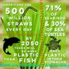 100% Natural Grass Drinking Straws - Pack of 100 Eco Friendly, Biodegradable Drinking Straws, Organic, Disposable, Safer, Healthier Than Reusable Bamboo Straws, Paper Straws, Wheat, Plastic Straws view 2
