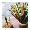 100% Natural Grass Drinking Straws - Pack of 100 Eco Friendly, Biodegradable Drinking Straws, Organic, Disposable, Safer, Healthier Than Reusable Bamboo Straws, Paper Straws, Wheat, Plastic Straws view 4