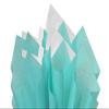 100Sheets Carribbean Teal and White Gift Wrap Pom Pom Tissue Paper Mix with 12 to from Gift Tags & Twine view 1