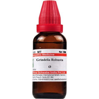Schwabe Willmar Homeopathy Grindelia Robusta Mother Tincture Q (30 ML) by Exportmall