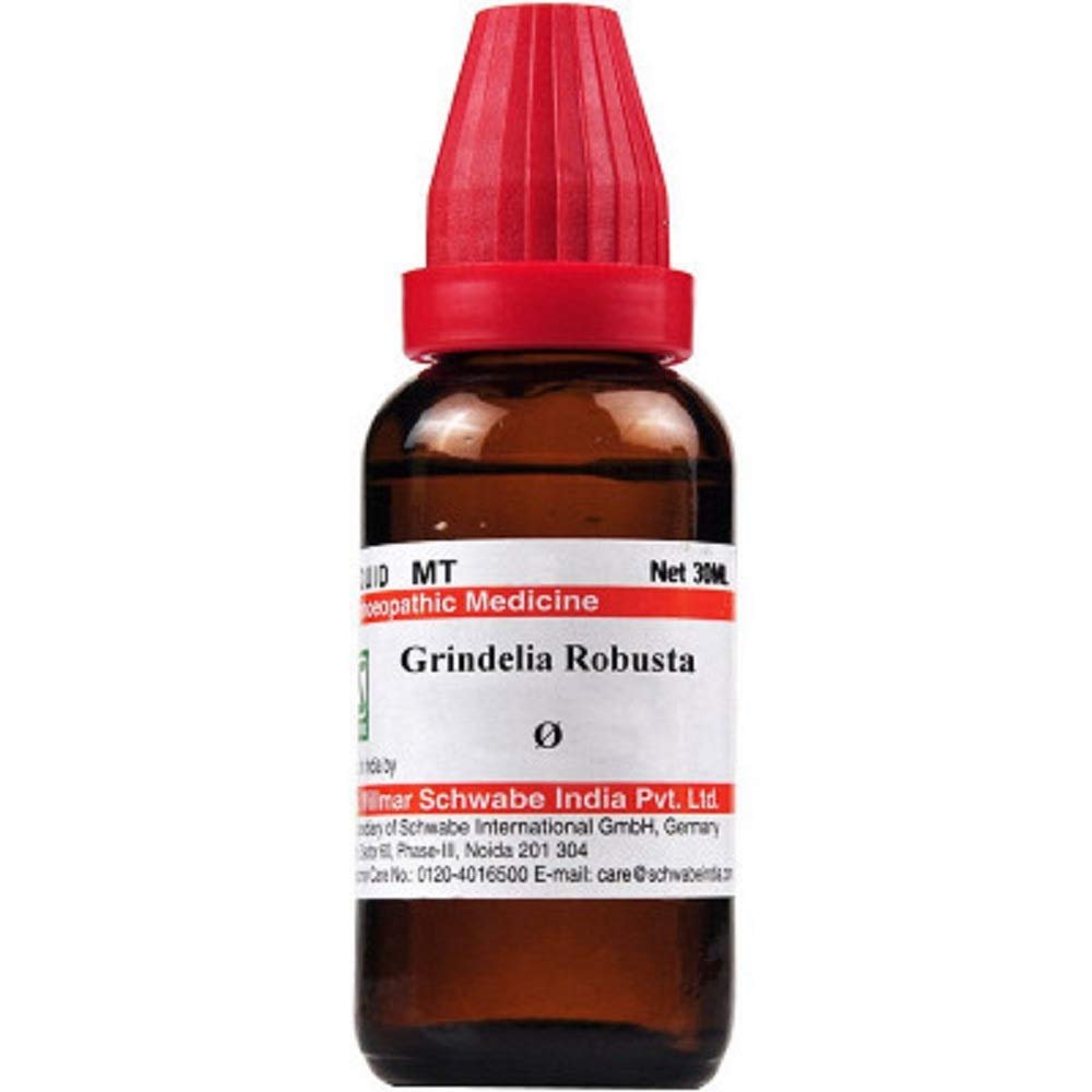 Schwabe Willmar Homeopathy Grindelia Robusta Mother Tincture Q (30 ML) by Exportmall