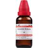 Schwabe Willmar Homeopathy Grindelia Robusta Mother Tincture Q (30 ML) by Exportmall view 1
