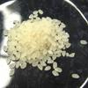 SHINMEI Toyamaken San KOSHIHIKARI Rice 5kg - Koshihikari white milled rice from Toyama Prefecture 11.02lb (5kg) - Product of Japan. view 3