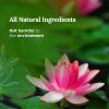 Magnificent 101 Long Lasting Lotus Flower Aromatherapy Candle - 6 Oz - 35 Hour Burn Time - Sage & Bergamot Scented Soy Wax Smudge Candle for New Beginnings, Purification & Manifestation view 3
