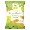 ARTISAN TROPIC Plantain Strips  Vegan, Paleo, Gluten Free Chips  Whole 30 Approved Foods Non-GMO Healthy Snack for Lunches, Dipping, Parties  Baked Banana Chips  Sea Salt (4.5 Oz - 12 Pack) view 1