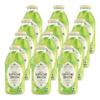 Harney & Sons Organic Supreme Green Unsweetened Iced Tea, Glass Bottles, 16oz bottles (Pack of 12) view 1