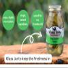 Amish Valley Products Bread and Butter Pickles Glass Quarts All Natural (One Qt Jar - 32oz) view 3
