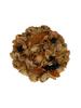Apricot, Blueberry, Coconut & Macadamia Nut Granola (2 Pack) view 3