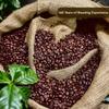 Lion Coffee 3-Pack Vanilla Macadamia Flavored Ground Coffee, Light Roast, Hawaiian Inspired Taste - 10 Ounce Bags (Pack of Three) view 4