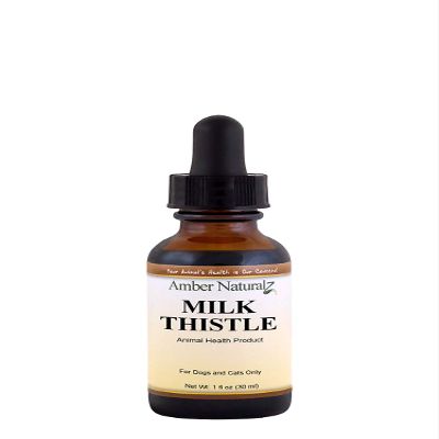 Amber NaturalZ Milk Thistle Herbal Supplement for Dogs and Cats | Supports Normal Liver Function and Detoxification | Natural Aid for Liver Support and Skin Health 1 Fluid Ounces