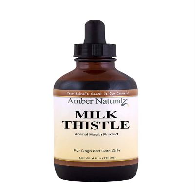 Amber NaturalZ Milk Thistle Herbal Supplement for Dogs and Cats | Supports Normal Liver Function and Detoxification | Natural Aid for Liver Support and Skin Health 4 Fluid Ounces