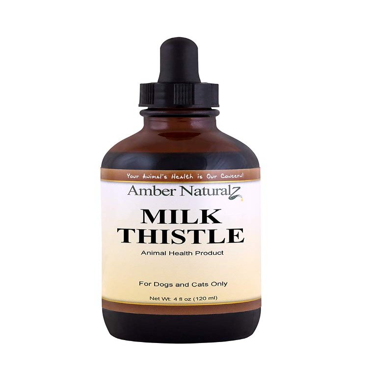 Amber NaturalZ Milk Thistle Herbal Supplement for Dogs and Cats | Supports Normal Liver Function and Detoxification | Natural Aid for Liver Support and Skin Health 4 Fluid Ounces