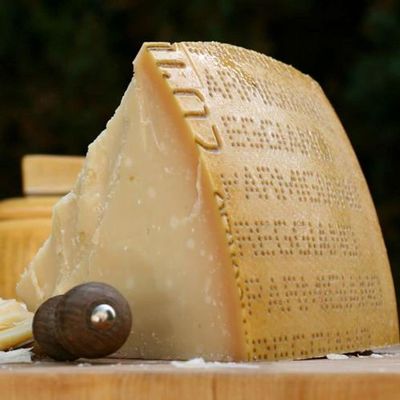 Parmigiano Reggiano Cheese 24 Month 2 lb Club Cut (3-pack) (6 pound)