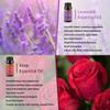 yethious 2 Pack Lavender Rose Essential Oil Set 100% Pure Organic Lavender Aromatherapy Oil Rose Fragance Oil for Diffuser Essential Oil Set view 2