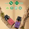 yethious 2 Pack Lavender Rose Essential Oil Set 100% Pure Organic Lavender Aromatherapy Oil Rose Fragance Oil for Diffuser Essential Oil Set view 4
