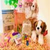 Birthday/Get Well/Mother's Day Gift Basket for Mom - Organic Teas, Cookies and More! (Organic Tea Gift Set with Plush) view 2